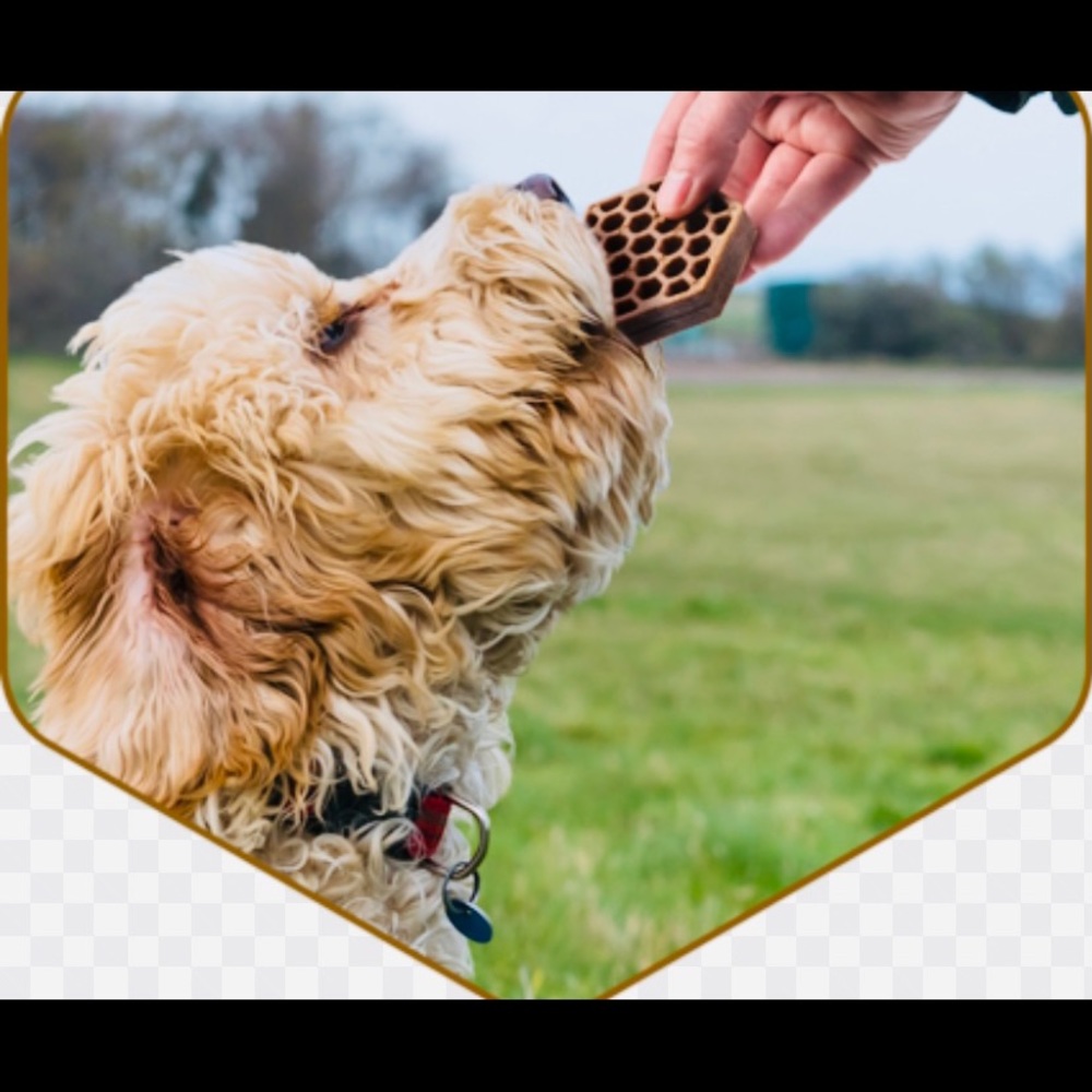 BiG SALE: yummy Comb treats for $1.50 each!